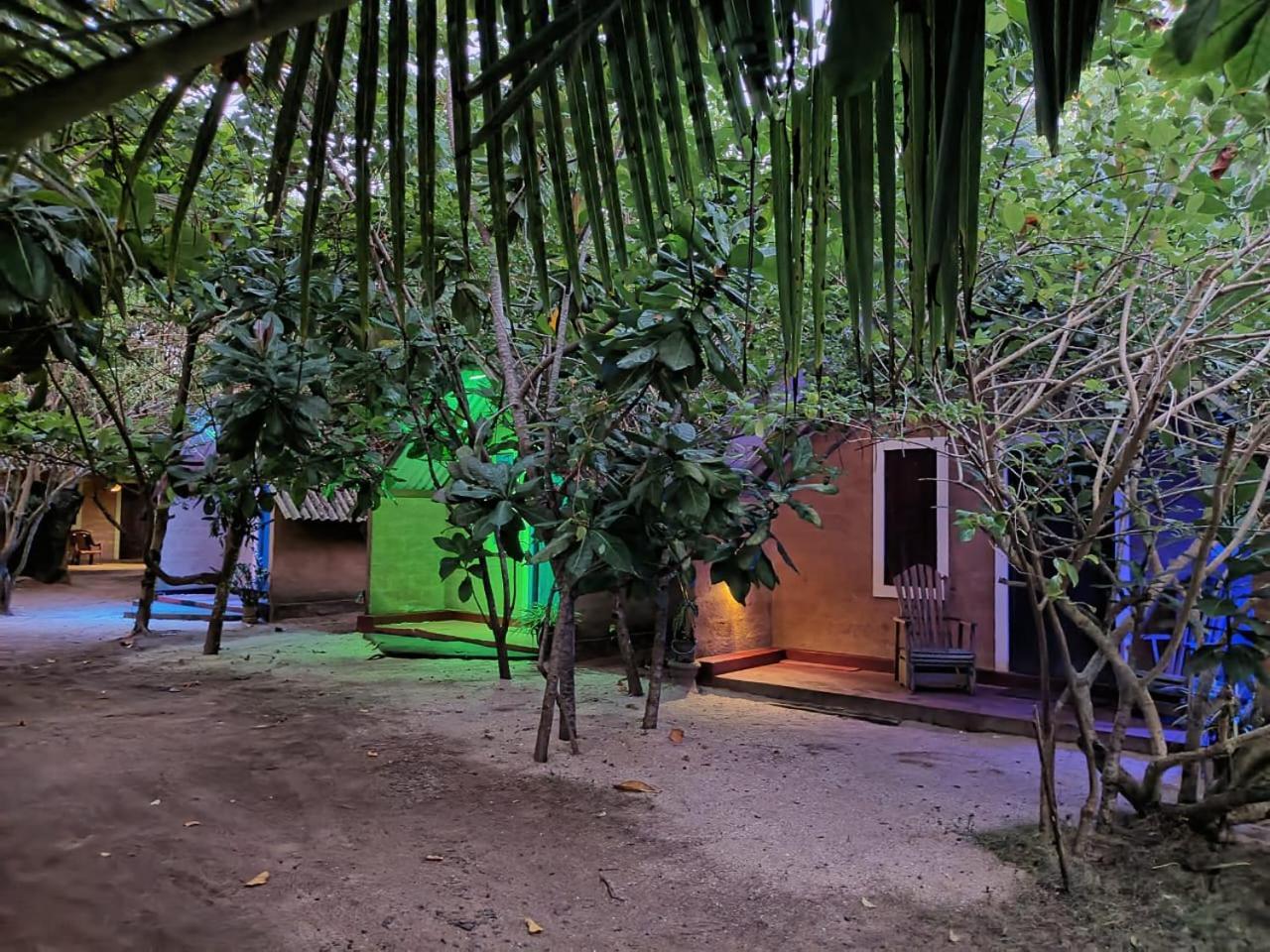 By The C' Cabanas ヒッカドゥワ エクステリア 写真